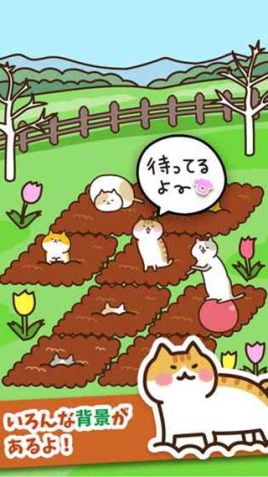 猫咪田园最新版