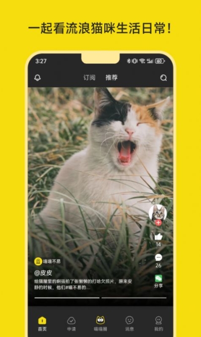 喵喵不易app手机版