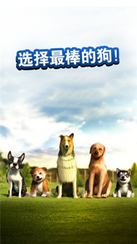 狗狗模拟器(DogSimulator)