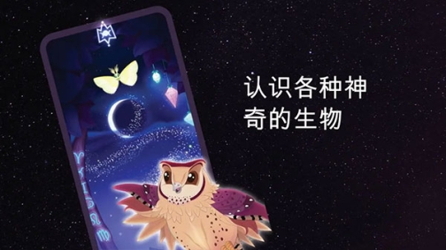 彩翼之星夜官方版