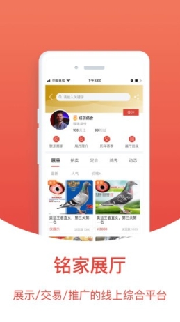 赛鸽头条app(成绩查询)